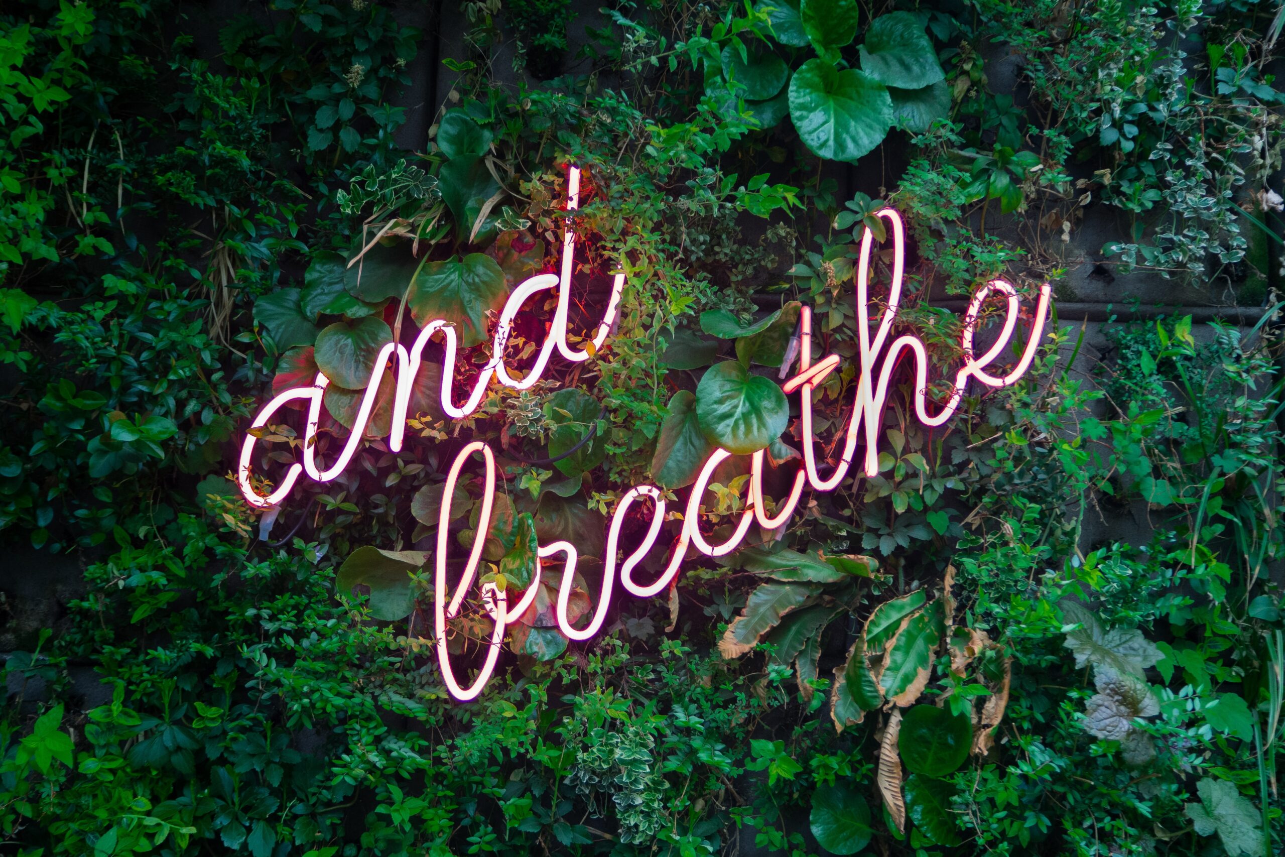 breath work and self-care